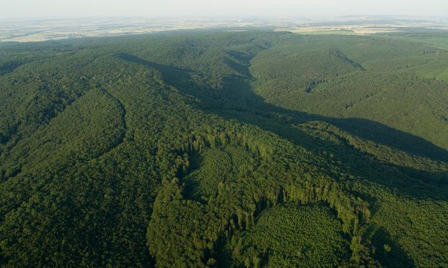 Nationalpark Hainich  – „Natur Natur sein lassen“